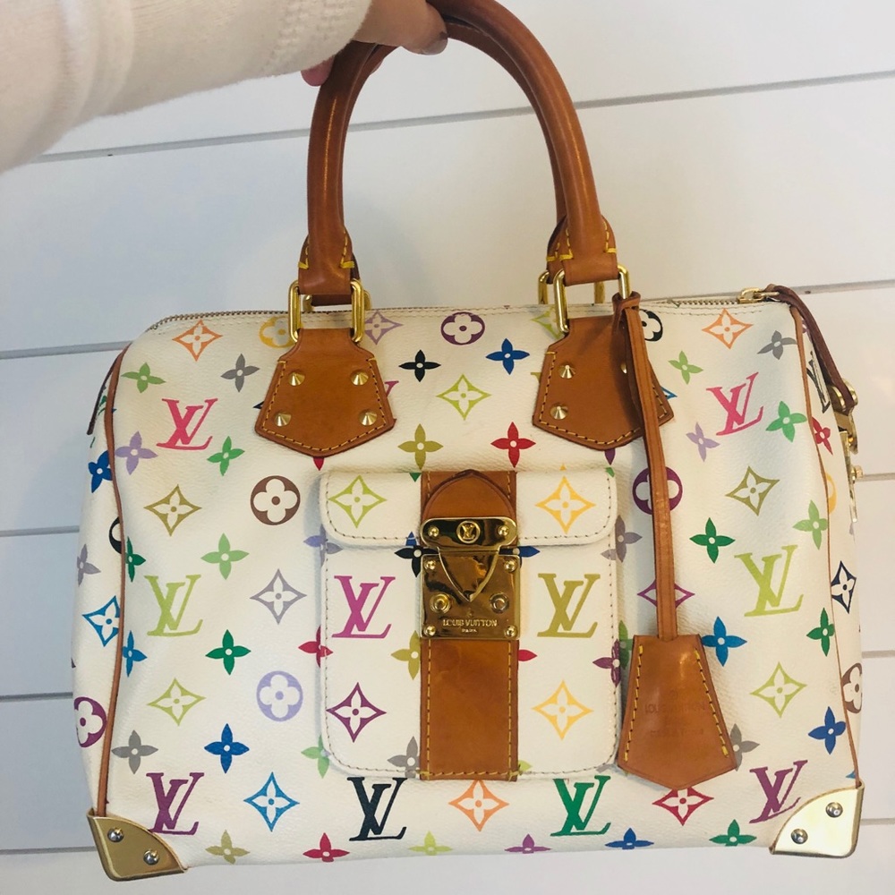 Louis Vuitton Multicolor Speedy 30